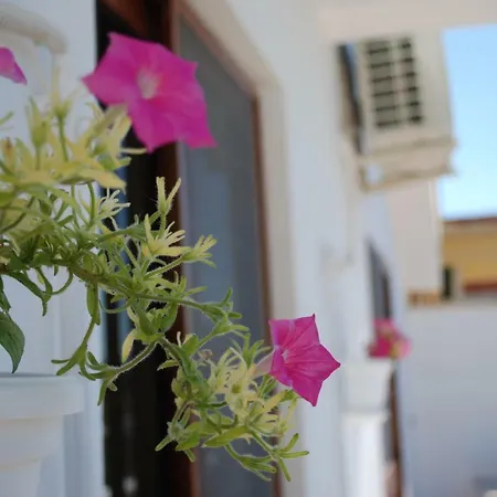 Al&de Apartment Velipojë