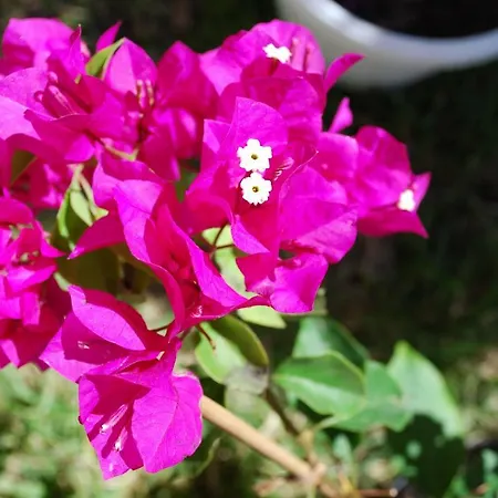 Al&de Апартаменты