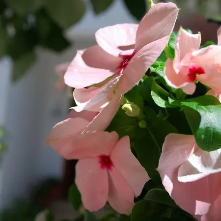 Al&de Апартаменты Велипойе