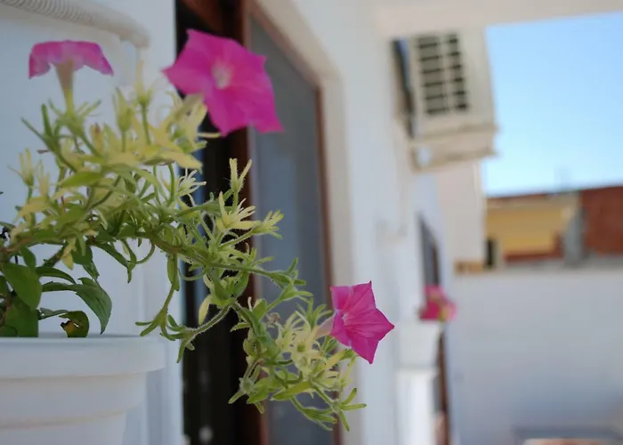 Al&de Apartamento Velipojë